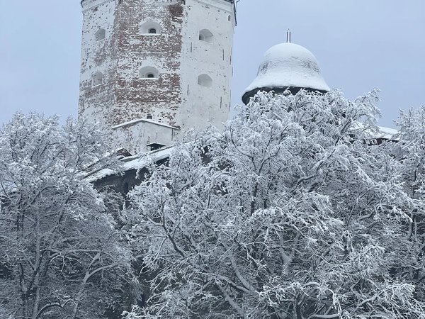 Историческое приключение для всей семьи «Тайна старых гербов Выборга» - фото 4