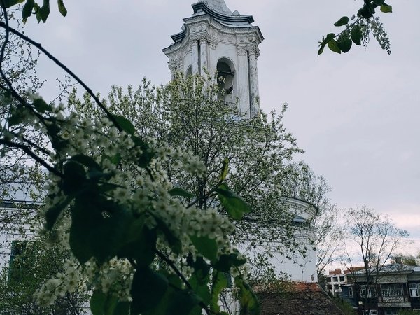 Добро пожаловать в Вологду! - фото 2