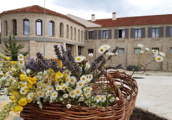 Лучший винный тур Chateau Andre: Прованс — удивительное рядом