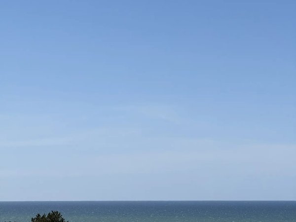 Куршская коса в птичьем разноголосье (из Калининграда и Зеленоградска) - фото 2