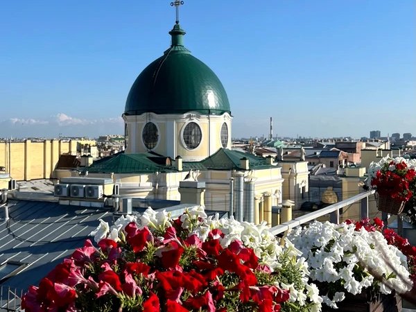 Сердце и душа культурной столицы: центр Петербурга + прогулка по крыше