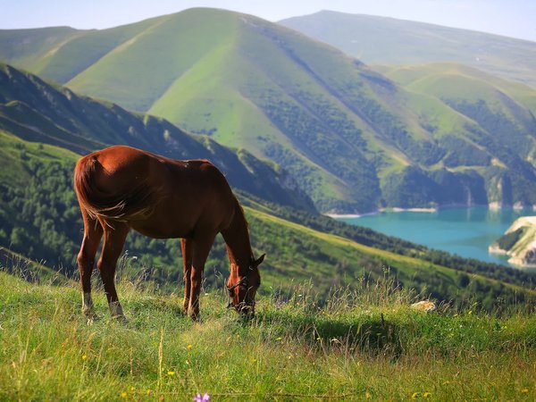 Грани Кавказа: 5 республик за 10 дней - фото 4