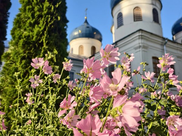 Святое Поозерье: Перынский скит и Юрьев монастырь (на вашем авто) - фото 2