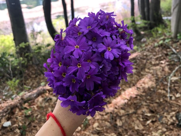 Из Сочи в Красную Поляну — мир величественных гор! - фото 4