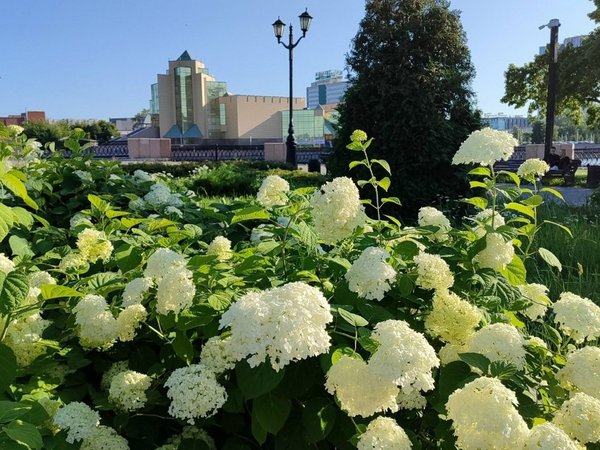 Челябинск: хоккей, трубы и верблюды - фото 4