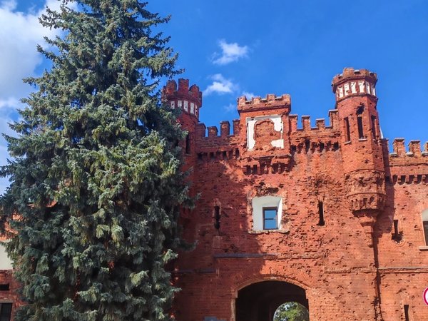 Из Минска — в Брест и Брестскую крепость (всё включено) - фото 4