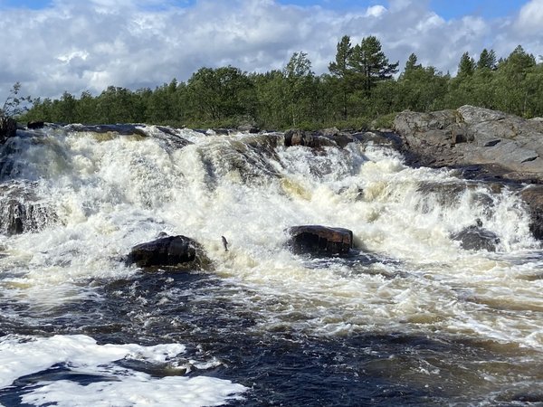 Незабываемая фотопрогулка среди природы Заполярья