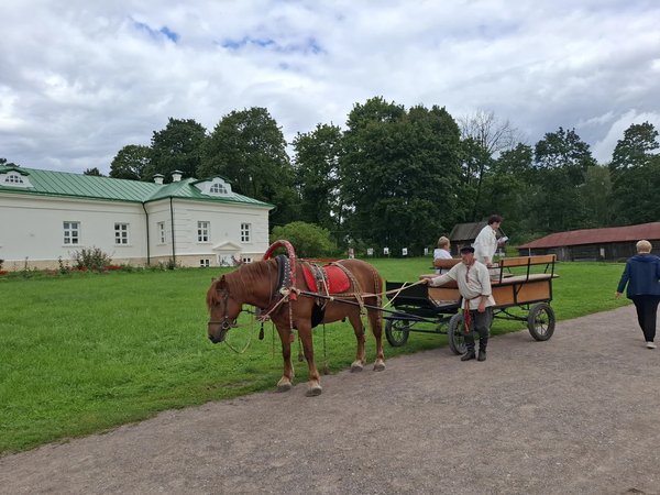 Из Тулы — по знаковым местам Ясной Поляны (с посещением мемориального дома Толстого) - фото 4