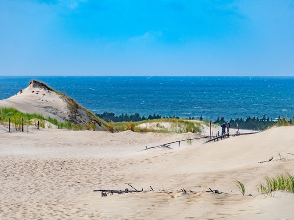 Из Светлогорска — на Куршскую косу и в Зеленоградск! - фото 4