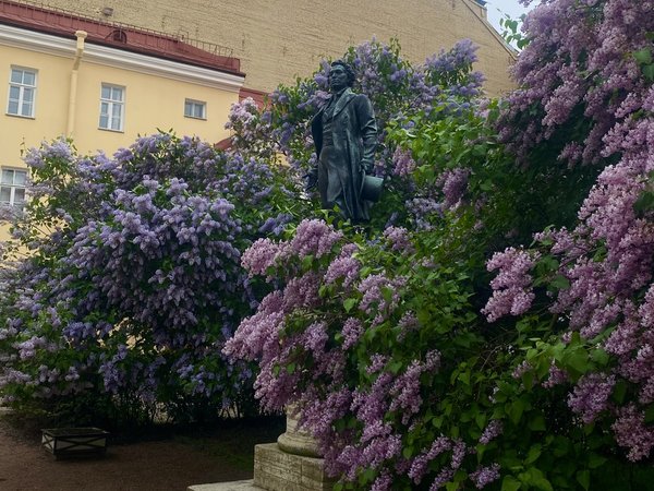 Петербург Пушкина: «Город пышный, город бедный, дух неволи...» - фото 1