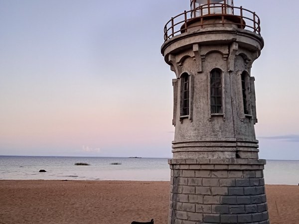 Из Петербурга — к фортам «Красная Горка», «Риф» и «Константин» - фото 2