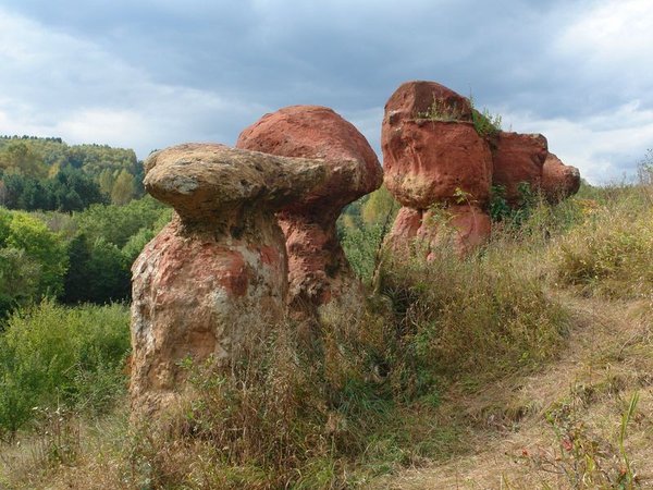 Неизведанные уголки Кисловодского парка - фото 1