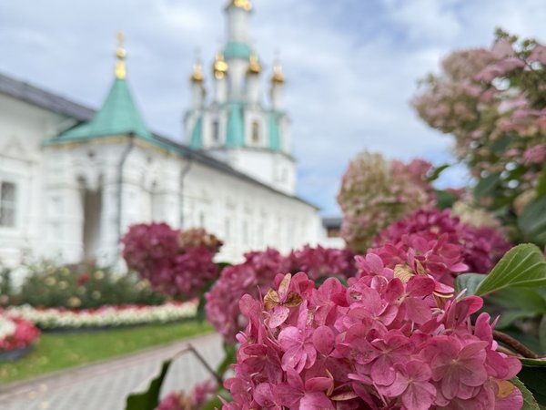 Из Ярославля — в старинный Толгский монастырь - фото 3