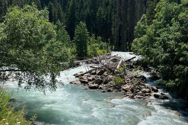 Фото экскурсии - Мини-группа из Пятигорска на Домбай: Гумбаши, озеро Кара-Кель и Мусса-Ачитара - 12
