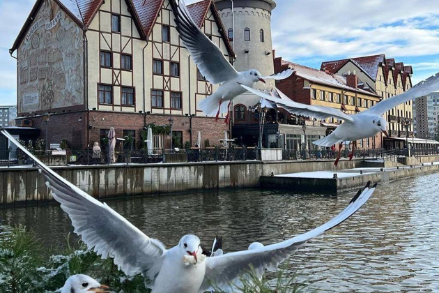 Путешествие из Кёнигсберга в Калининград