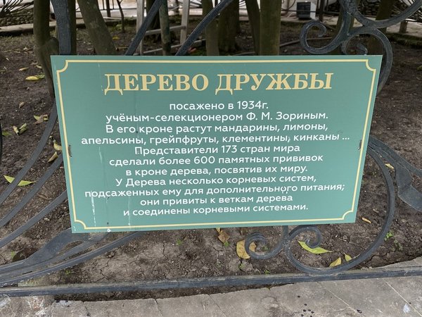 Удивительный Сочи: знакомство с городом - фото 3