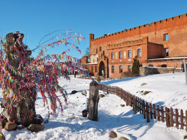 Замки Шаакен и Нессельбек — из Калининграда - фото 1