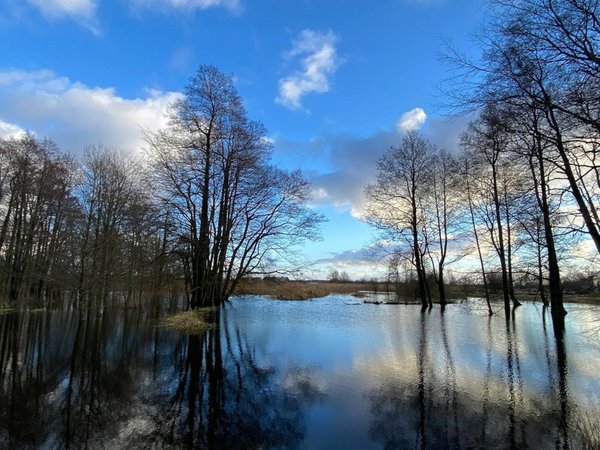 Из Светлогорска — в край императорских угодий - фото 1