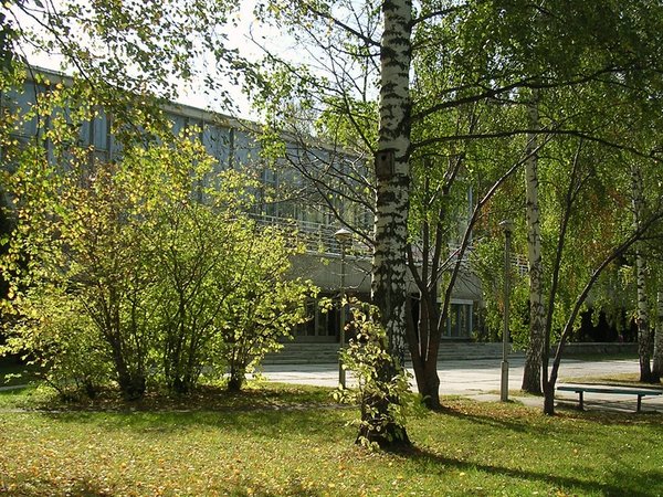 Большая прогулка по Академгородку - фото 4