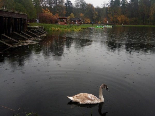 Августовский канал — колыбель трёх культур в окрестностях Гродно - фото 1