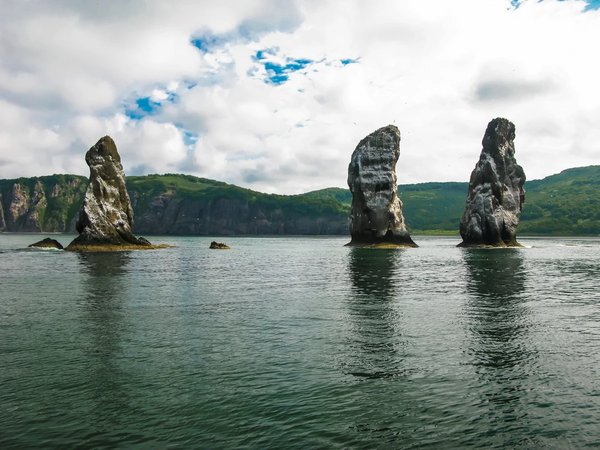 В гости к сивучам: морское путешествие к мысу Кекурный - фото 3
