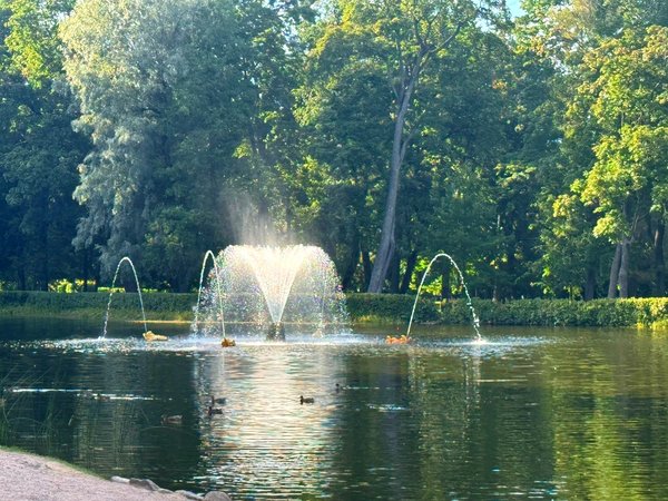 Петергоф и Ораниенбаум: дворцы и парки императорской России - фото 2