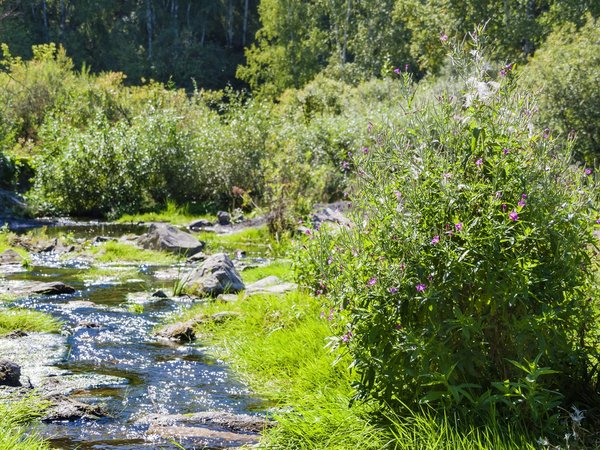 Бердские скалы, Беловский водопад и святой источник Ложок - фото 2