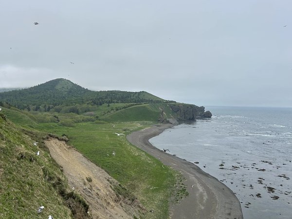 Те самые Тихая и Клоковский: янтарь, бухта, мыс, водопад, ледопад, Тории - фото 3