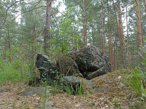 К Уктусским горам — с краеведом: отсюда Екатеринбург пошёл - фото 2