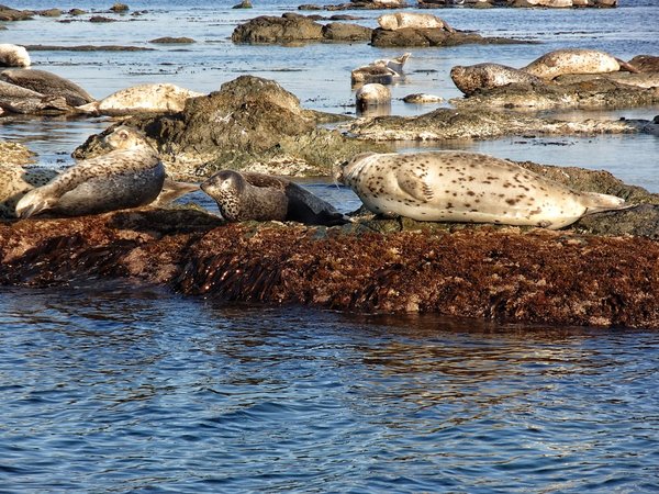 Затерянный остров Аскольд: поездка на катере + треккинг - фото 1