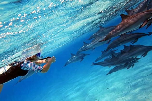 Фото экскурсии - Сноркелинг на островах Хамата или рифе Сатайя в Марса-Аламе с включенным обедом - 10