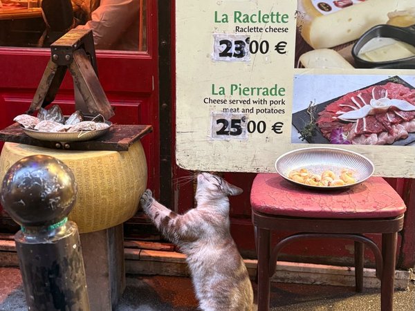 Гастропрогулка по Парижу: сыры, улитки, шоколад - фото 2