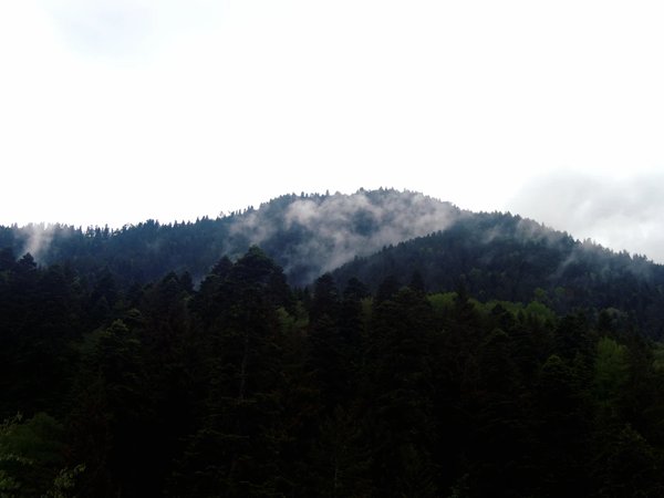 Фото туриста - 1