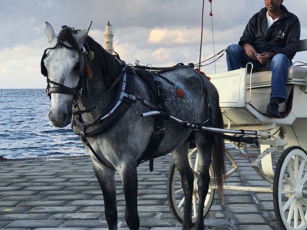 Секретная Ханья - фото 4