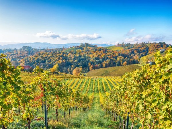 Грац и Штирийская Тоскана. Персональный тур в сопровождении местного гида - фото 4