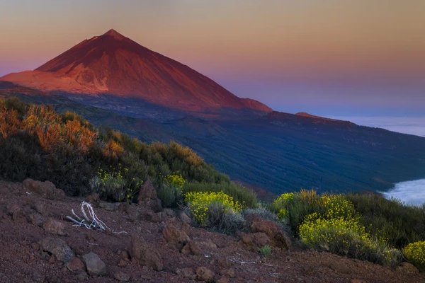 Фантастический вулкан Тейде - фото 4