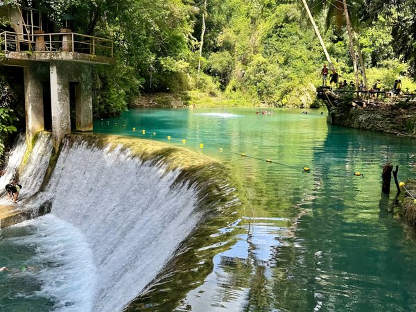 Китовые акулы и каньонинг на водопаде Кавасан (всё включено) - фото 3
