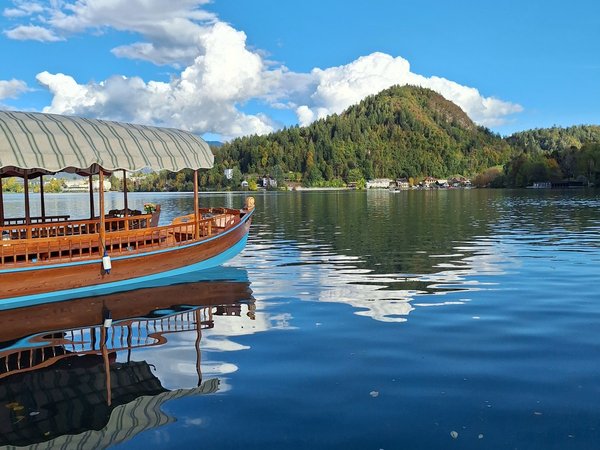 Жемчужина Словении — озеро Блед (без посещения замка и острова) - фото 3