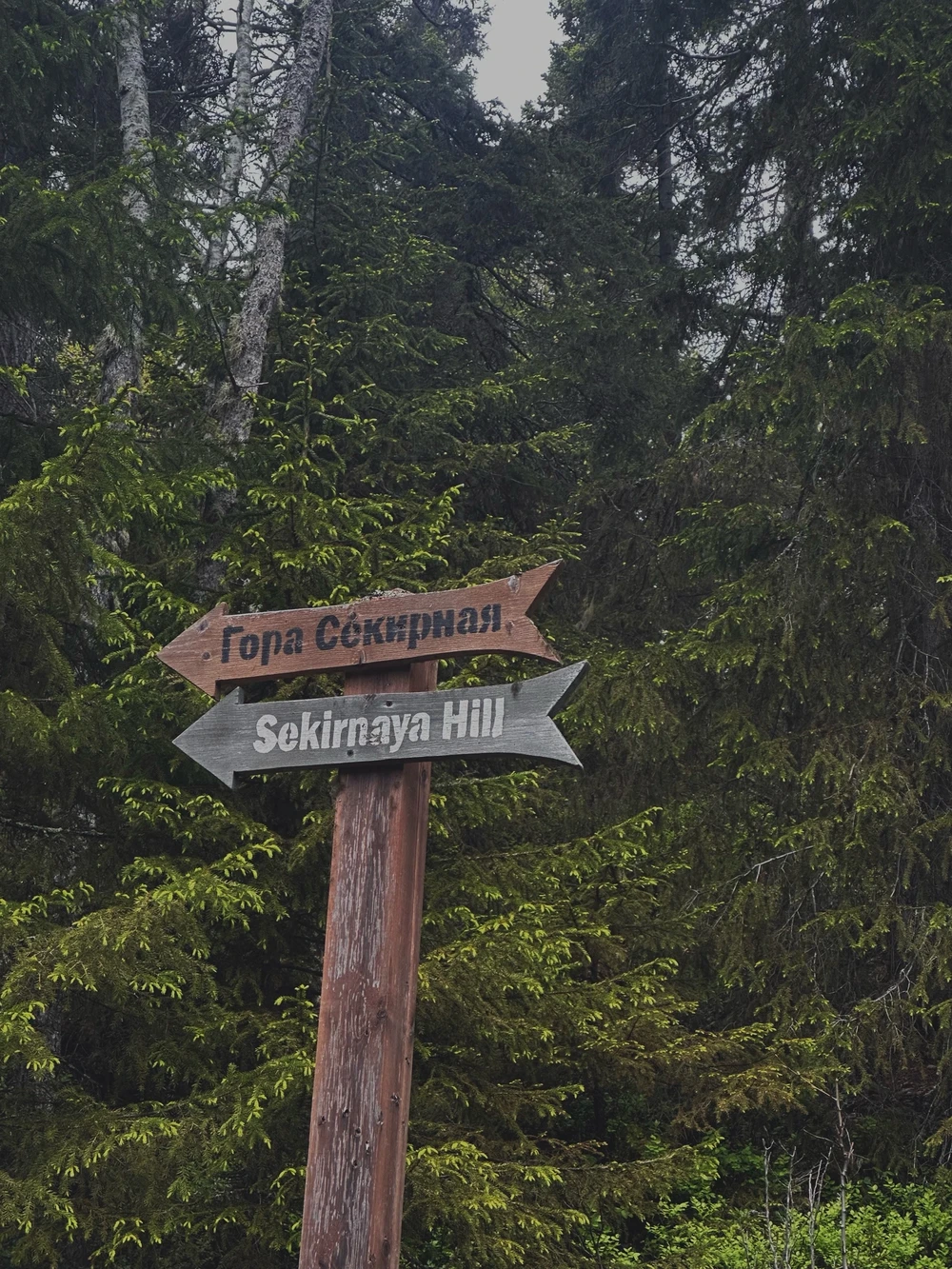 Секирная гора и тайны Соловков - фото 2