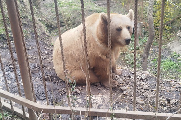 Фото экскурсии - Лагонакское нагорье с пещерами, водопадами и термальными источниками - 7