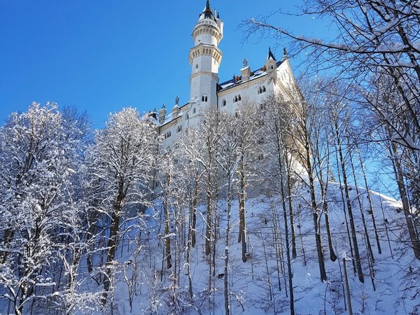 Замки баварских королей и диковинки Альп на вашем авто или на поезде - фото 2