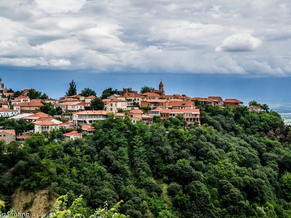 В Кахетию! Туда, где собирают солнце в виноград - фото 3