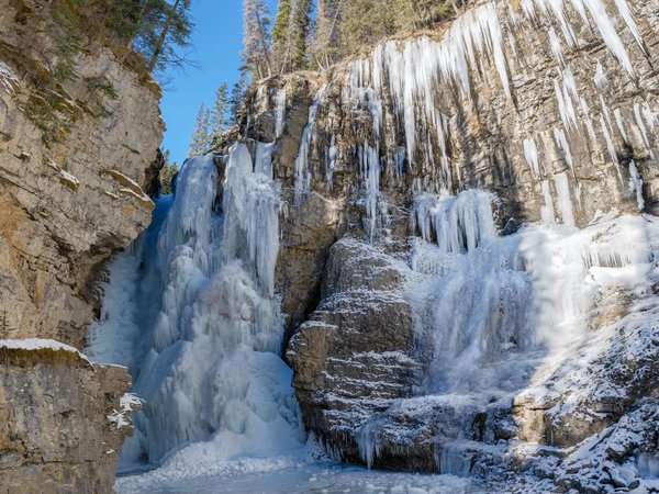 Из Калгари — в национальный парк Банф - фото 4