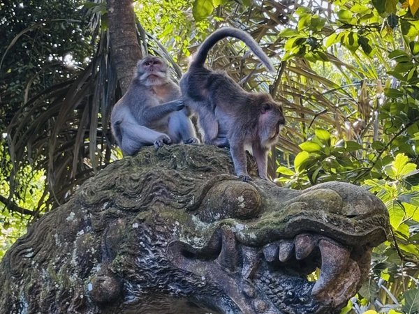 Убуд must-see: всё главное за один день - фото 4