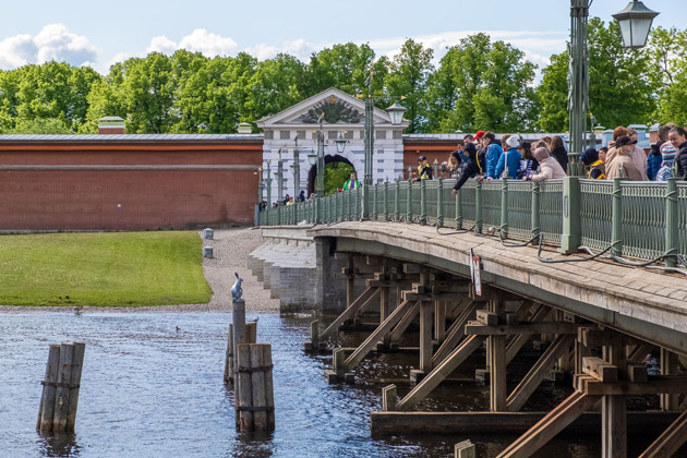 Экскурсия-квест с зайцем по Петропавловской крепости для детей в чат-боте