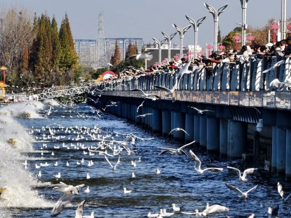 Куньмин: местный рынок, этническая деревня и Драконьи ворота - фото 2