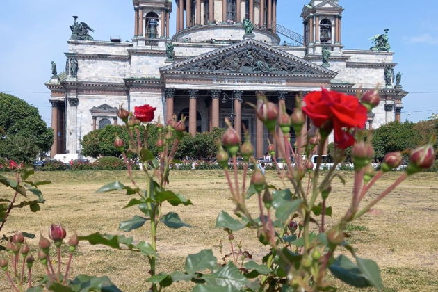 Здравствуй, Петербург: от классики до современности -1