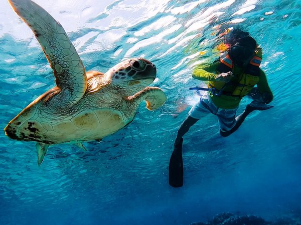 Морская прогулка на частной лодке по островам Гили + снорклинг с черепахами - фото 1