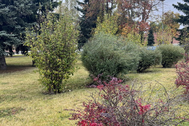 Фото экскурсии - Автобусный тур по главным достопримечательностям Тулы - 11