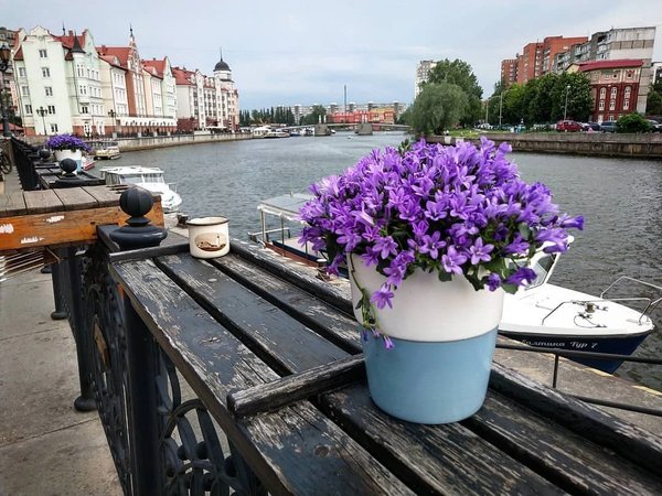 Калининград: остров Канта и прогулка на катере - фото 3